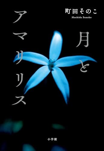 月とアマリリス