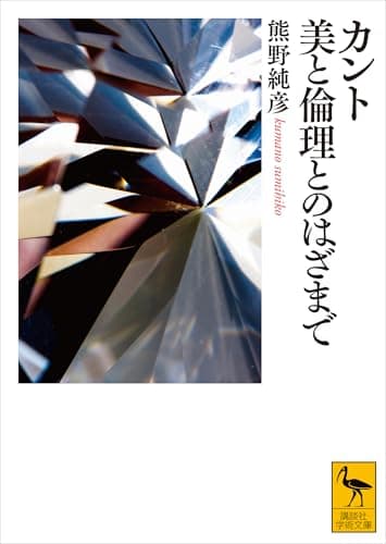 カント　美と倫理とのはざまで (講談社学術文庫)