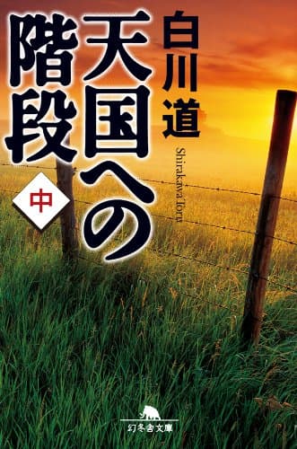 天国への階段（中） (幻冬舎文庫)