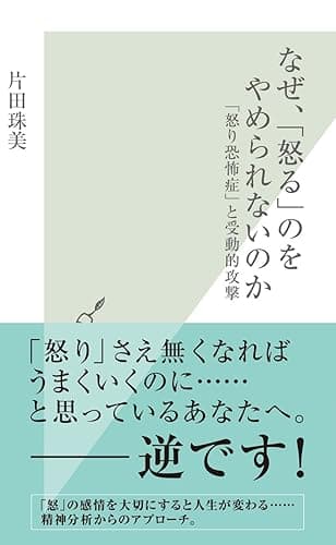 なぜ、「怒る」のをやめられないのか～「怒り恐怖症」と受動的攻撃～ (光文社新書)
