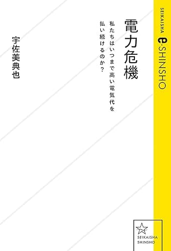 電力危機 私たちはいつまで高い電気代を払い続けるのか? (星海社 e-SHINSHO)