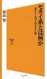 セカイ系とは何か　ポスト・エヴァのオタク史 (SB新書)