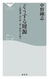 どうする財源 貨幣論で読み解く税と財政の仕組み (祥伝社新書)