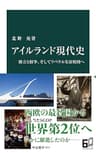 アイルランド現代史　独立と紛争、そしてリベラルな富裕国へ (中公新書)