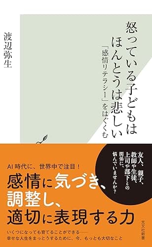 怒っている子どもはほんとうは悲しい～「感情リテラシー」をはぐくむ～ (光文社新書)