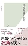 恋愛結婚の終焉 (光文社新書)