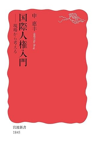 国際人権入門 現場から考える (岩波新書)