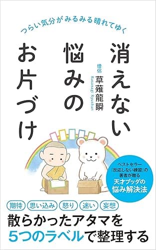 消えない悩みのお片づけ (ポプラ新書)