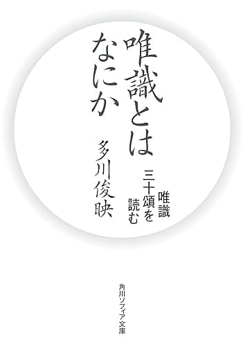唯識とはなにか　唯識三十頌を読む (角川ソフィア文庫)