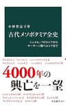 古代メソポタミア全史　シュメル、バビロニアからサーサーン朝ペルシアまで (中公新書)
