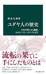 ユダヤ人の歴史　古代の興亡から離散、ホロコースト、シオニズムまで (中公新書)