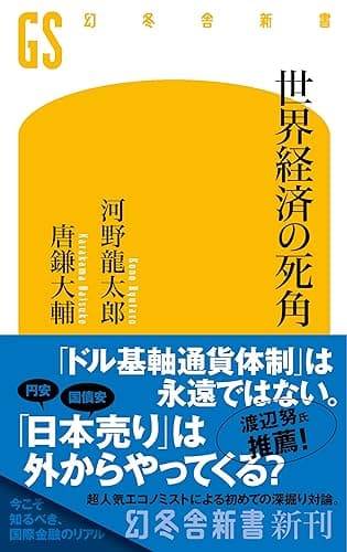世界経済の死角 (幻冬舎新書)