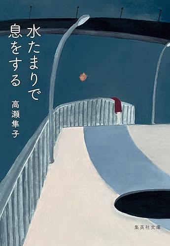 水たまりで息をする (集英社文庫)