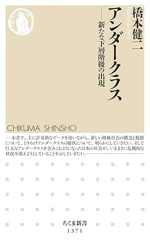 アンダークラス　──新たな下層階級の出現 (ちくま新書)