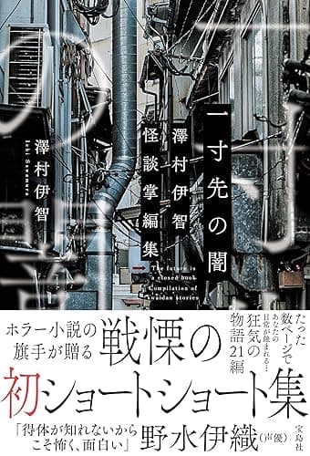 一寸先の闇　澤村伊智怪談掌編集