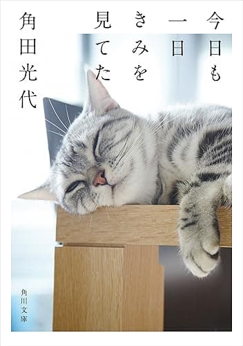 今日も一日きみを見てた 角田光代 猫エッセイ (角川文庫)