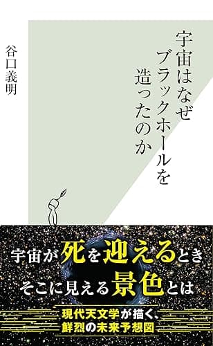宇宙はなぜブラックホールを造ったのか (光文社新書)