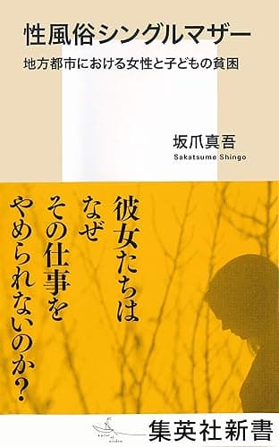性風俗シングルマザー　地方都市における女性と子どもの貧困 (集英社新書)