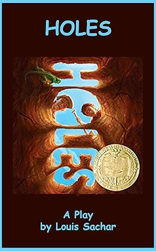 HOLES (Playsmith Book 1) (English Edition)