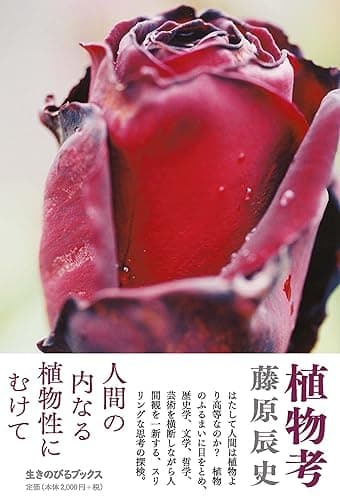 植物考