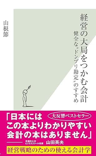 経営の大局をつかむ会計~健全な“ドンブリ勘定”のすすめ~ (光文社新書)