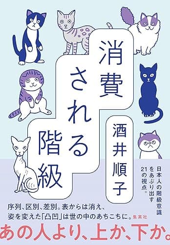 消費される階級 (集英社ノンフィクション)