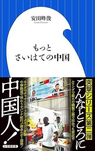 もっとさいはての中国(小学館新書)