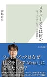 メタバースとは何か～ネット上の「もう一つの世界」～ (光文社新書)