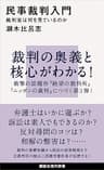 民事裁判入門　裁判官は何を見ているのか (講談社現代新書)
