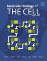 Molecular Biology of the Cell