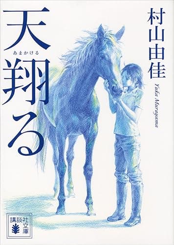天翔る (講談社文庫)