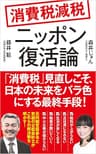 消費税減税　ニッポン復活論 (ポプラ新書)