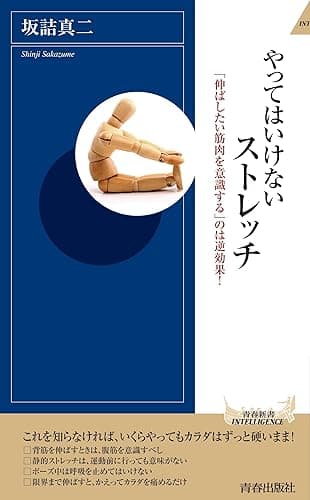 やってはいけないストレッチ (青春新書インテリジェンス)