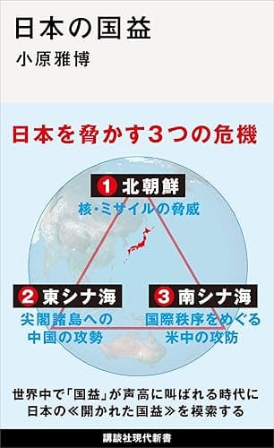 日本の国益 (講談社現代新書)