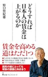 どうすれば日本人の賃金は上がるのか (日経プレミアシリーズ)