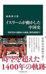 イスラームが動かした中国史　唐宋代から鄭和の大航海、現代回族まで (中公新書)