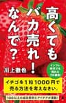 高くてもバカ売れ！　なんで？　インフレ時代でも売れる7の鉄則 (SB新書)