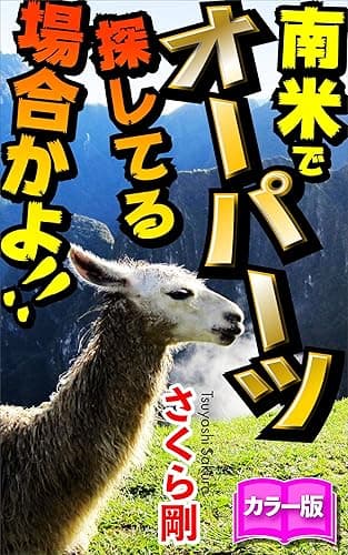 南米でオーパーツ探してる場合かよ!!