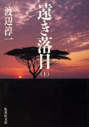 遠き落日　上 (集英社文庫)