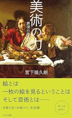 美術の力～表現の原点を辿る～ (光文社新書)