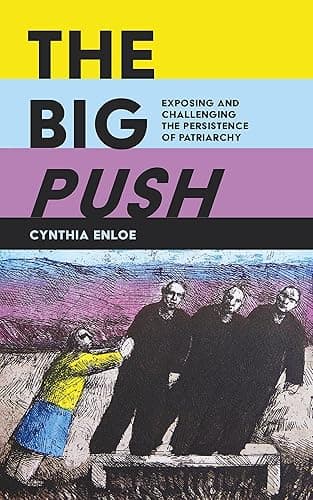 The Big Push: Exposing and Challenging the Persistence of Patriarchy (English Edition)