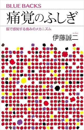 痛覚のふしぎ　脳で感知する痛みのメカニズム (ブルーバックス)