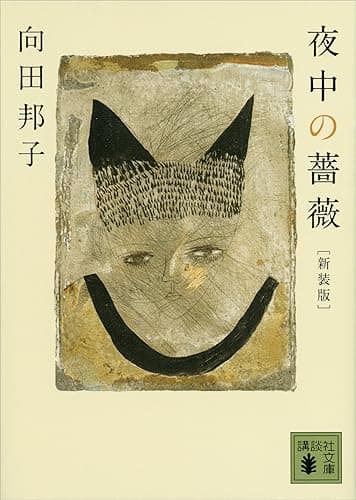 新装版 夜中の薔薇 (講談社文庫)