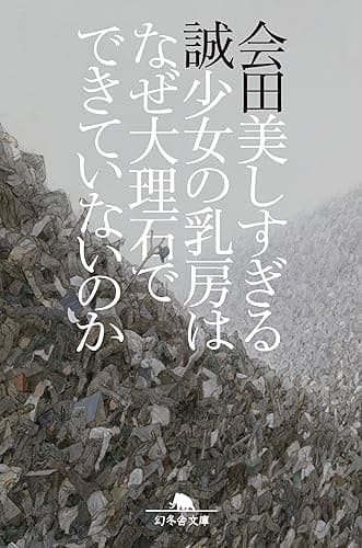 美しすぎる少女の乳房はなぜ大理石でできていないのか (幻冬舎文庫)