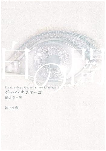 白の闇 (河出文庫)