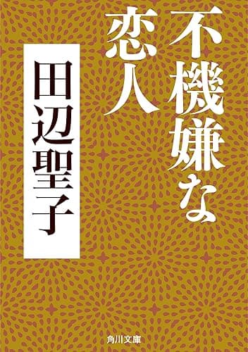 不機嫌な恋人 (角川文庫)