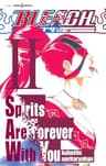BLEACH Spirits Are Forever With You II (ジャンプジェイブックスDIGITAL)