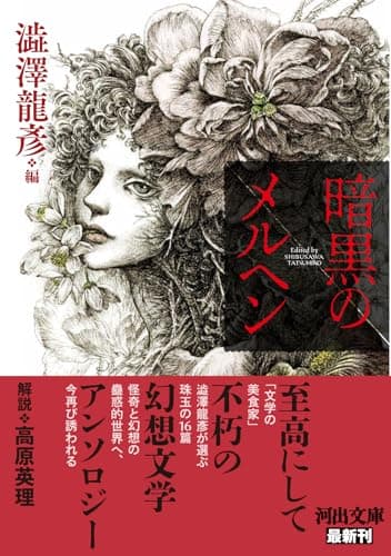 暗黒のメルヘン (河出文庫)