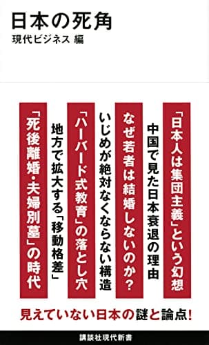 日本の死角 (講談社現代新書 2703)