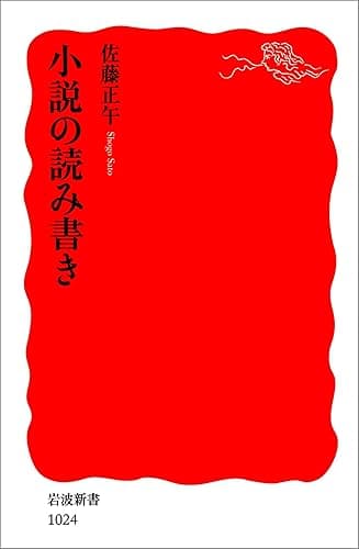 小説の読み書き (岩波新書)